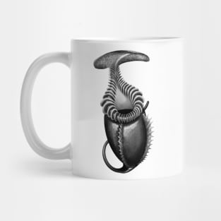 Botanical Carnivorous Plant Drawing Nepenthes Villosa Pitcher Mug